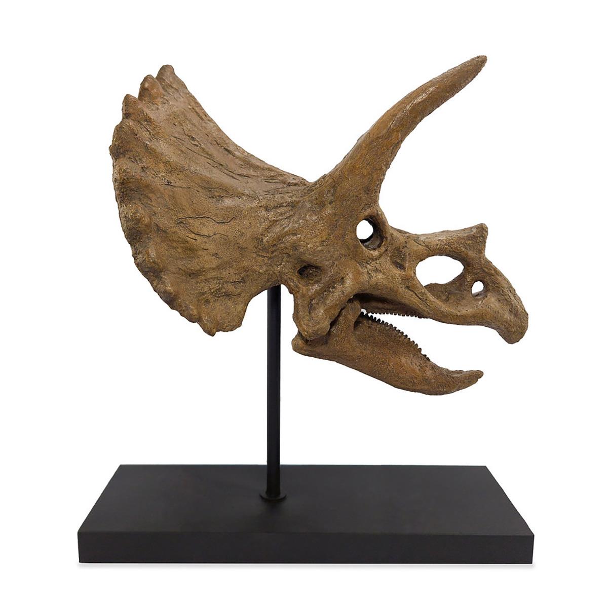 Triceratops Seramik Heykel