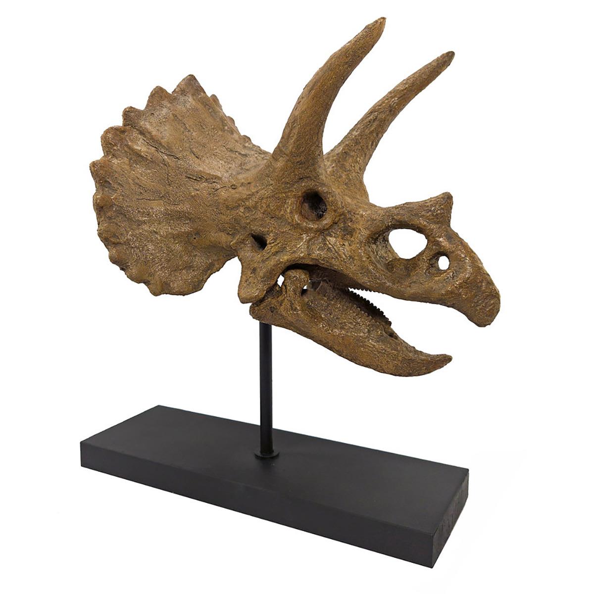 Triceratops Seramik Heykel