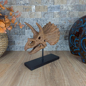 Triceratops Seramik Heykel