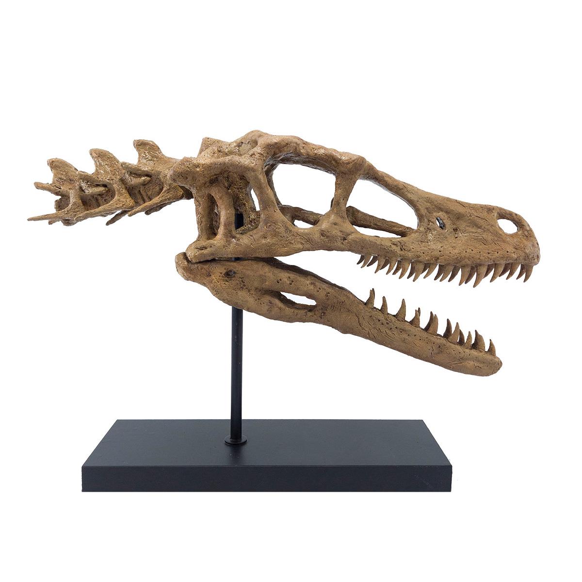 Velociraptor (Omurgalı) Seramik Heykel