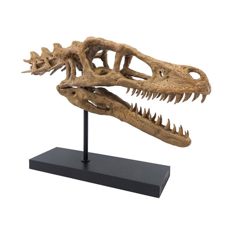 Velociraptor (Omurgalı) Seramik Heykel