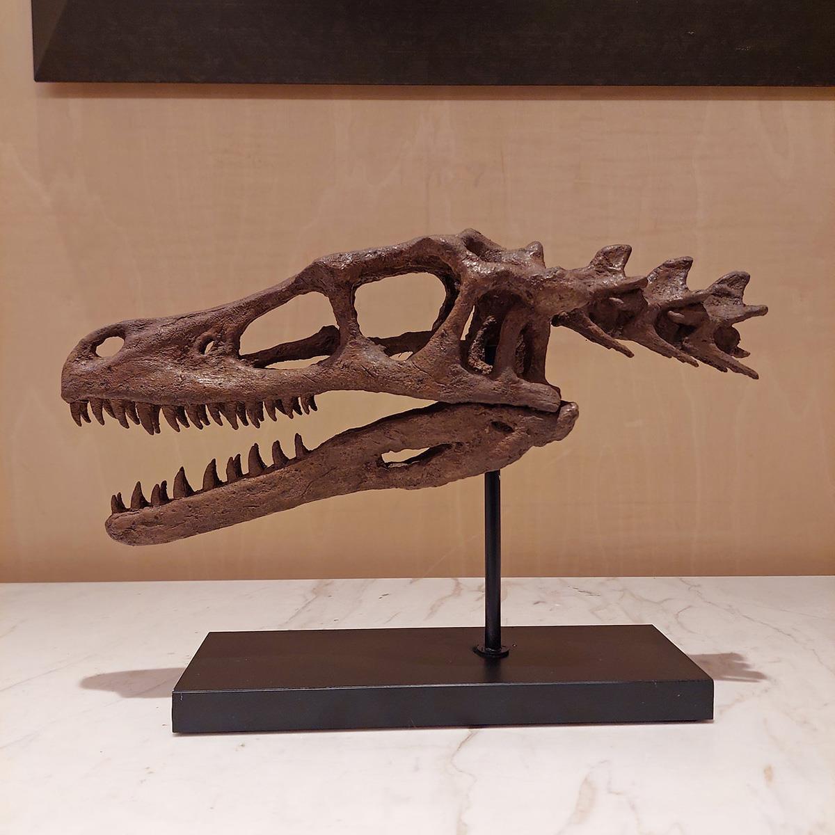 Velociraptor (Omurgalı) Seramik Heykel