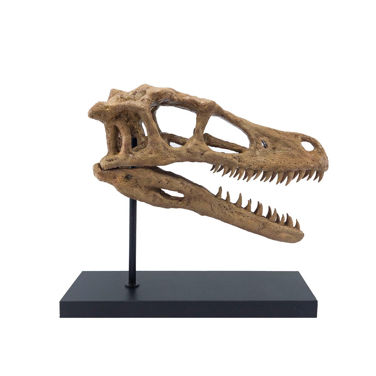 Velociraptor Seramik Heykel