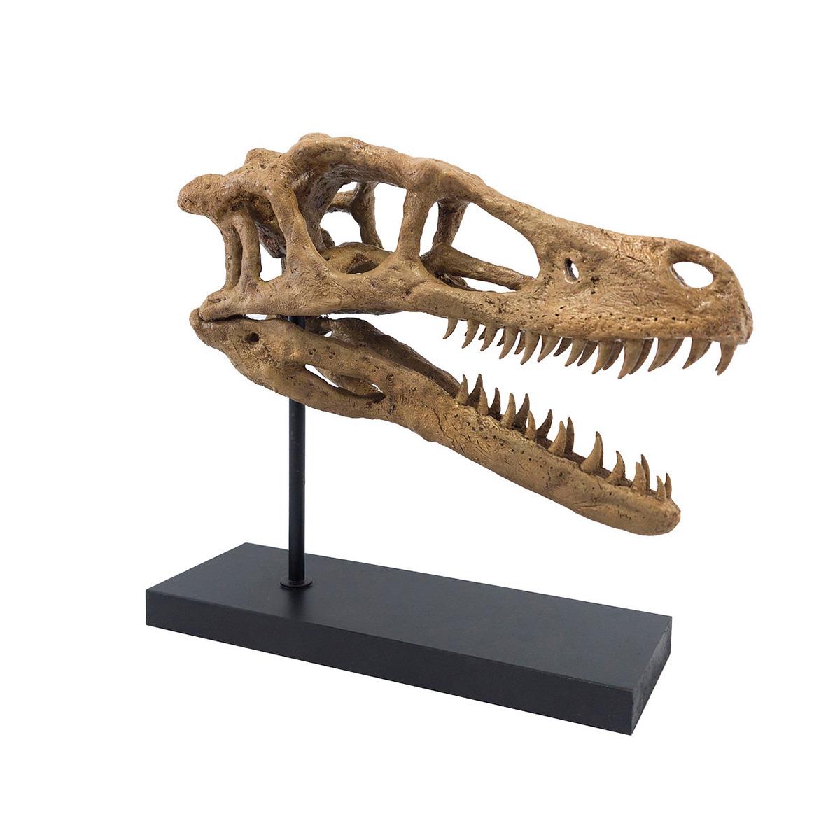 Velociraptor Seramik Heykel