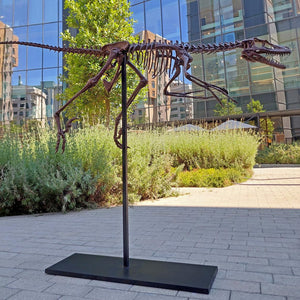 Velociraptor Tam İskelet Seramik Heykel