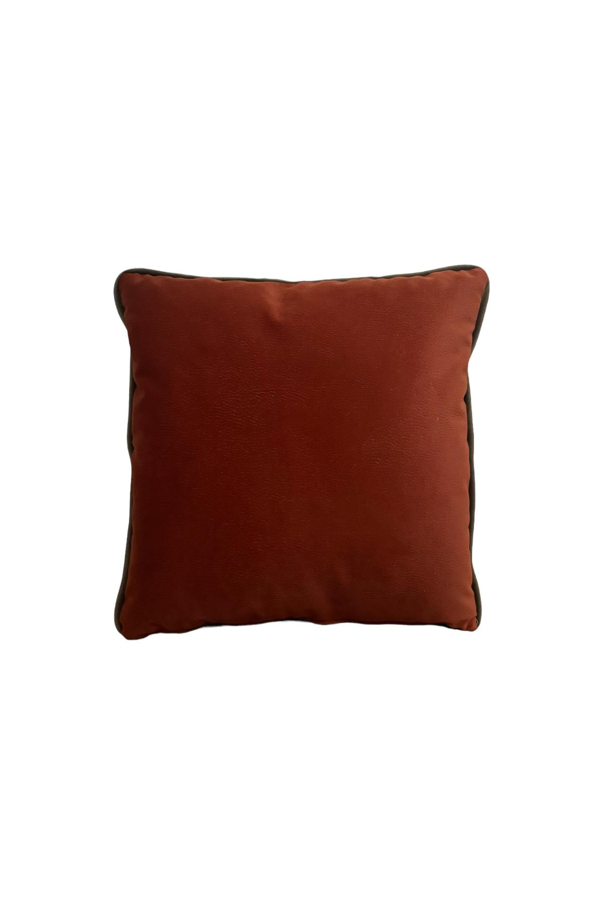 Brown Velvet Throw Pillow with Green Piping